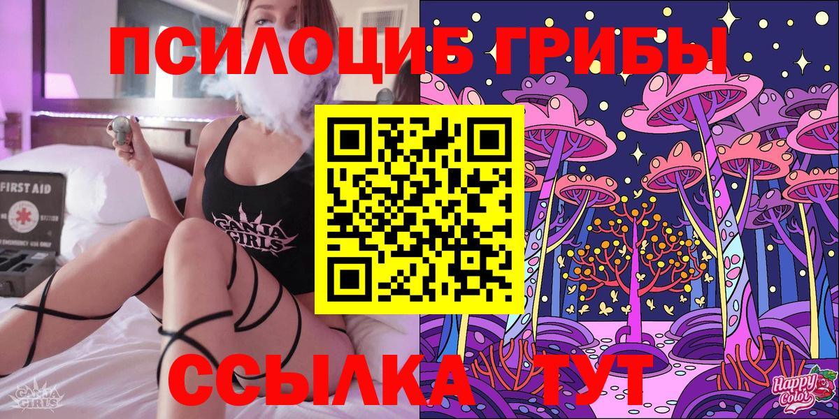 Галлюциногенные грибы Psilocybe  Вход с VPN  Алатырь 